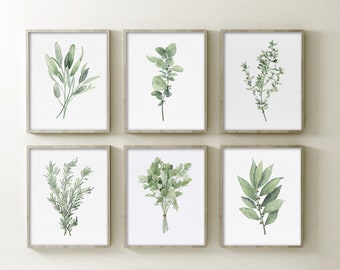 Erbe da cucina, Set di 6 stampe, Salvia verde chiaro, Rosmarino, Prezzemolo, Origano, Foglia di alloro, Timo Botanical Wall Decor Acquerello Arte minimalista