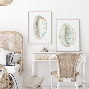 Puede incluir: Dos impresiones enmarcadas de conchas marinas en acuarela. Las conchas son en tonos beige, gris y azul, con una representación detallada de la textura de la concha. Las impresiones se exhiben sobre un escritorio blanco con una silla tejida, creando un tema costero.