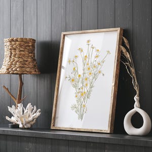 Aquarel kamille – extra grote poster, minimalistische muurkunst, kleine madeliefjesachtige bloemen, moderne botanische giclee