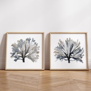 Coralli grigio talpa, acquerello botanico, set di 2 stampe giclée quadrate neutre, belle arti costiere moderne e minimaliste