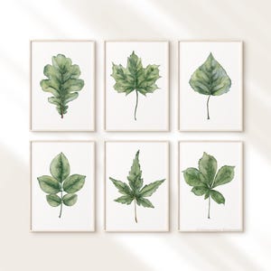 Aquarel bladeren set van 6 PRINTS botanische PRINT van handgeschilderde illustraties kastanje eiken lijsterbes esdoorn berken tekening natuur kunst herfst kunst