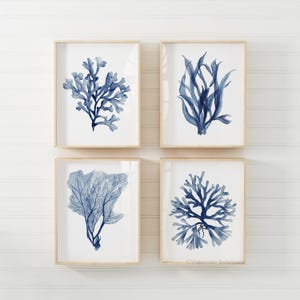 4 Navy Corals Wall Art, Stampe marine minimaliste ad acquerello, Piante oceaniche, Opere d'arte mediterranee, Decorazioni murali costiere