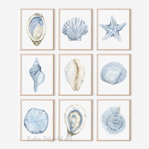 Peut inclure: Neuf impressions encadrées à l'aquarelle représentant divers coquillages et une étoile de mer dans des tons de bleu, beige et blanc. Les impressions sont disposées en grille, chacune avec un cadre en bois. La signature de l'artiste est visible en bas.