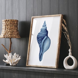 Meeresmuschel marineblau, Küstenwanddekor, minimalistischer großer Posterdruck, Strandhauskorallenkollektion von Eveline Patrzalek, Pferd Muschel