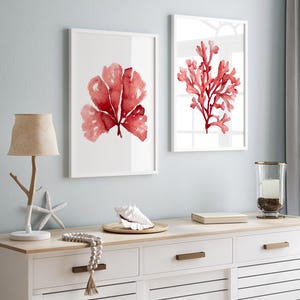 Stampe Corallo Rosso – Set di 2 Quadri, Decorazione Nautica e Costiera, Arte da Parete per Casa al Mare, Bagno o Soggiorno