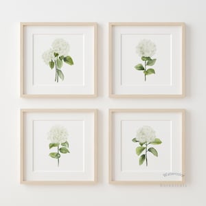 4 stampe di ortensie bianche – Set di 4 stampe botaniche ad acquerello, decorazioni floreali senza tempo per soggiorno e camera da letto