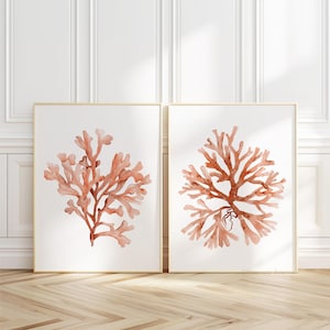 Light Orange Coastal Set Of 2 Prints, Corals, Minimalist Nautical Art above Bed, Seaweed, Algae, Watercolor Botanical Artwork