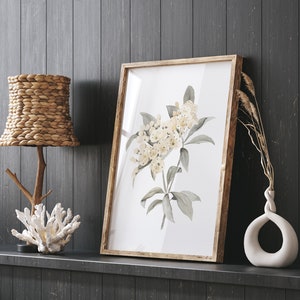 Neutral Mountain Laurel Prints – Boho Style Botanical Art, Kalmia Latifolia, State Floral Wall Art