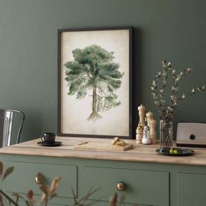 Schizzo di pino rustico – Arte vintage ispirata alla natura per interni accoglienti / Stampa di albero acquerello botanico