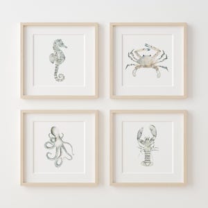 Stampe ad acquerello di vita marina dai toni neutri - Set di 4 opere d'arte costiere minimaliste per interni contemporanei, creature marine dell'oceano - Moderne