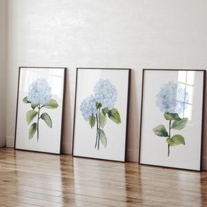 watercolor blue hydrangea set of 3 prints standing on the floor in black frames