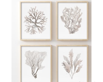 Set of 4 Prints Corals Seaweed Nature Art Modern Watercolor Fern Leaves Leaf Minimalist Wall Decor Sea Life Taupe Beige Gray Ecru Nautical