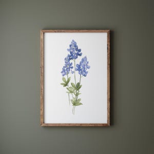 Texas Bluebonnet Art Print, enkel schilderij, minimalistische bloem, aquarel decor, natuur kunst, bloemenillustratie, botanische clipart