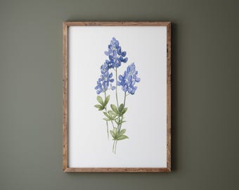 Texas Bluebonnet Art Print, Single Painting, Minimalist Flower, Watercolor Decor, Nature Fine Art, Flower Illustration, Botanical Clipart