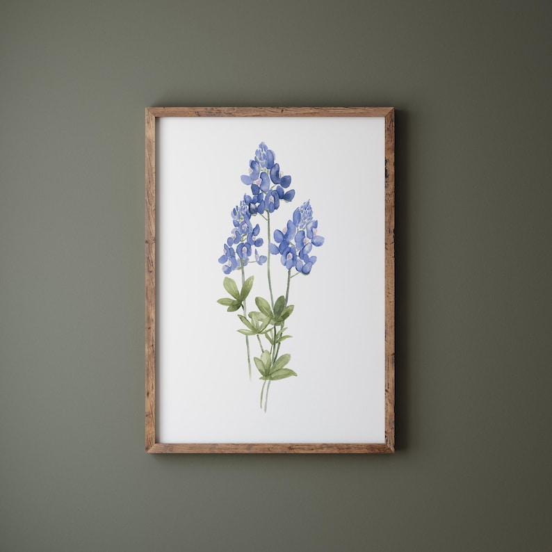 K&ouml;nnte beinhalten: Ein gerahmtes Aquarellbild von Blausternblumen, einer Wildblumenart, die in Texas heimisch ist, mit gr&uuml;nen Stielen und Bl&auml;ttern.