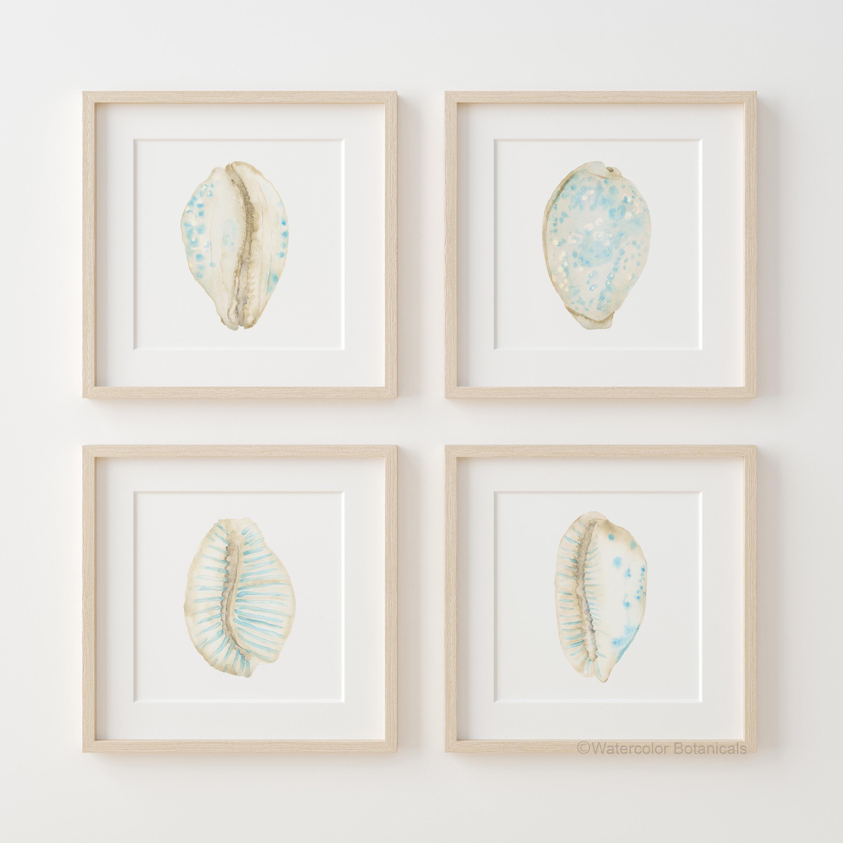Set of 4 Cowrie Shells Prints – Coastal Seashell  Wall Art, Watercolor Painting, Ocean Beach Decor in Soft Blue and Beige, Nautical Artwork
