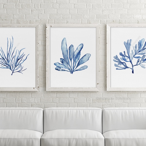 Watercolor Seaweed Navy Blue Indigo Set of 3 Prints Minimalist Artwork Botanical Print Nautical Room Decor Beach House Sea Fern Art Plant