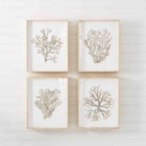 Four Neutral Corals Prints , Seaweed Nature Art Modern Watercolor Leaf - Minimalist Wall Decor Sea Life Boho Coastal Art for Living Room