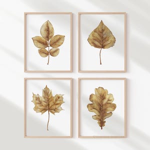 Peut inclure: Ensemble de quatre estampes encadrées à l'aquarelle représentant différents types de feuilles dans des tons de brun et d'or. Les feuilles sont représentées dans un style réaliste et sont disposées dans un design simple et élégant.