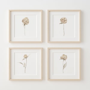 Neutrale Pfingstrosen Set mit 4 Drucken - Minimalistische botanische Zeichnung, graue, beige und braune Blumenwandkunst, neutrale Pfingstrosenkunst