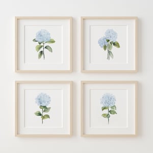 Watercolor Set of 4 Hydrangea Illustrations, Minimalist Botanical Wall Decor, Modern Poster, Hamptons Artwork, Extra Large Prints, Florals image 1