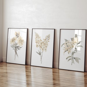 Fiori di stato acquerellati in stile boho moderno, set botanico di 3 stampe raffiguranti alloro di montagna, radice amara e lupino, arte murale floreale