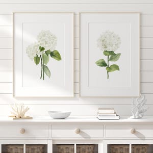 Weiße Blumendrucke - Hortensien Set mit 2 extragroßen minimalistischen botanischen Illustrationen