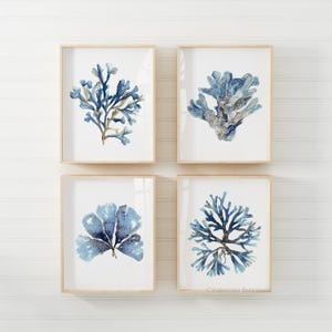 May include: Set of four watercolor prints featuring blue and gold seaweed illustrations. The prints are framed in natural wood frames and are arranged in a grid pattern on a white wall.