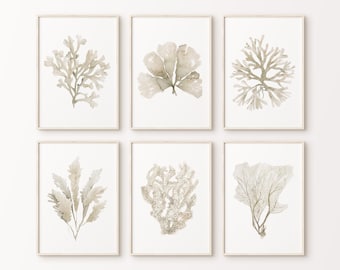 6 Beige Corals, Neutral Coral Seaweed, Minimalist Set of 6 Prints, Beige Gray Ecru Posters, Botanical Nature Decor, Painting, Image