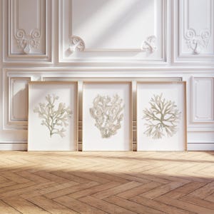 Beige Coral Prints, Neutral Minimalist Wall Art, Watercolor Botanical Picture, Nautical Set of 3 Prints, Slow Life Decor, Modern Home Decor