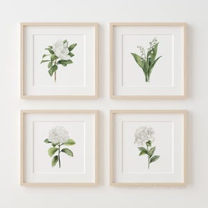 Stampe botaniche neutre - Set di 3 stampe minimaliste di fiori bianchi / Set di 4 stampe di opere d'arte floreali acquerellate per camera da letto e soggiorno