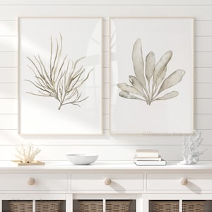 Impresiones de algas marinas en tonos arena: juego de 2 obras de arte de pared botánicas costeras, decoración náutica moderna, estética abstracta de casa de playa, impresiones de pared bohemias