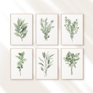 6 stampe di erbe culinarie – Arte murale per cucina e sala da pranzo verde salvia, decorazioni artistiche moderne con rosmarino, timo e origano
