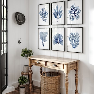 6 stampe di coralli blu scuro, set di 6 stampe di coralli acquerellati
