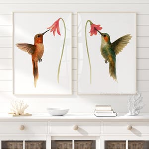 Set di 2 stampe da parete con colibrì acquerellati, stampe botaniche di uccelli con fiori rosa, decorazioni in stile fattoria costiera, arte per soggiorno e camera da letto