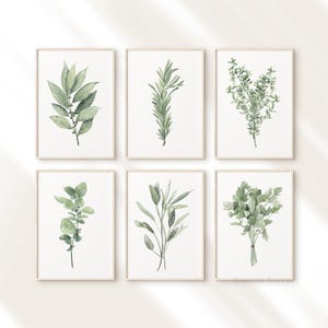 Galleria delle erbe – Set di 6 stampe ad acquerello, salvia verde chiaro, rosmarino, prezzemolo, origano, alloro e timo, arte minimalista botanica da cucina