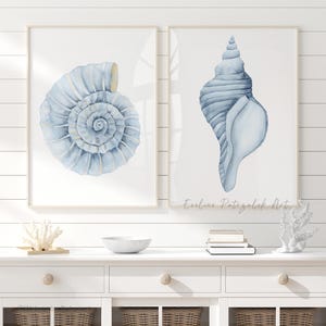May include: Two framed watercolour prints of seashells. One shows a spiral shell in blue and gold tones. The other depicts a tall, conch-like shell in shades of blue. The artwork is displayed on a white cabinet.