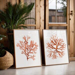 Lichtoranje kustset van 2 prenten, koralen, minimalistische nautische kunst boven het bed, zeewier, algen, aquarel botanische kunstwerken