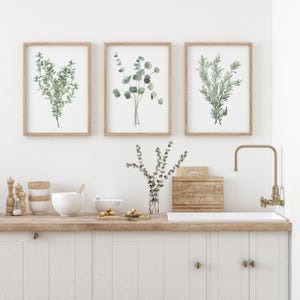 Stampe botaniche per sala da pranzo – Set di 3 illustrazioni di erbe aromatiche ad acquerello, eucalipto, rosmarino e timo, arte murale verde salvia neutra