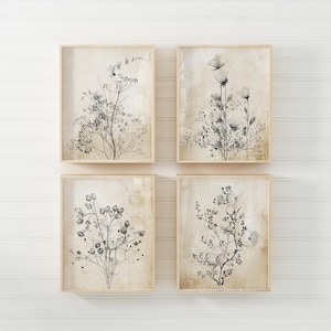 Lot de 4 impressions - oeuvres d'art florales avec des images vintage de fleurs noires, art mural fleurs minimalistes noires, art de la ferme moderne et de la maison de campagne française
