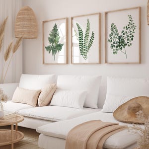 May include: Three framed watercolor prints of ferns in shades of green, hanging on a white wall above a white sectional sofa with a throw blanket and a straw hat.