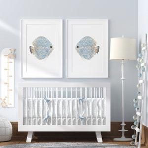 Watercolro set of 2 fish posters prints hangs above a crib in a baby boy nursery.