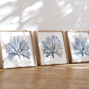Stampe costiere Blue Square, arte botanica Grandmillennial, coralli astratti, decorazioni per camera da letto e soggiorno