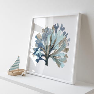 Stampa di alghe a strati, poster di belle arti, decorazione murale moderna costiera, stampa botanica quadrata, arte del corallo