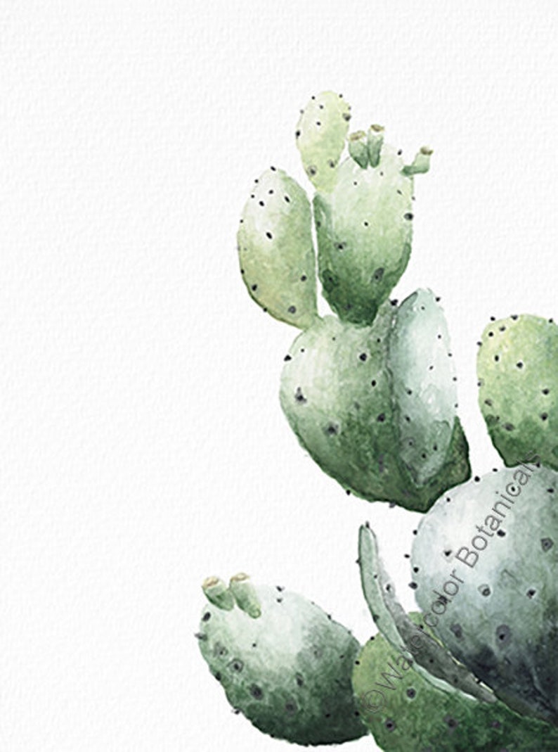 Succulent Set of 3 Prints Cactus Aloe Vera Aloes Drawing ...