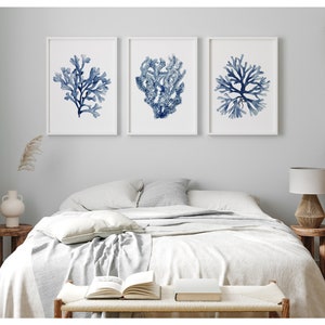 Set of 3 prints in white frames depicting corals and seaweed hang in a hamptons bedroom. Posters are available in all sizes.