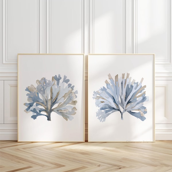 ライトブルーの海藻、水彩画のミニマリストアート、海岸沿いの壁飾り、ビーチハウスアート、植物プリント2枚セット、水草、モダンハンプトンズ