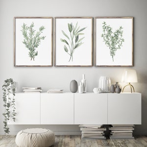 Erbe da cucina ad acquerello, timo, salvia, rosmarino, set moderno di 3 stampe, grandi poster d'arte, verde ad acquerello, arte astratta botanica immagine 4