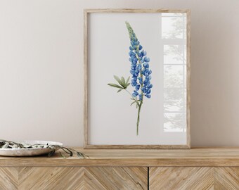 ルピナスの花のプリント - 絵画、青い水彩画の植物装飾、モダンな農家