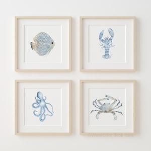 Illustrazione di vita marina varia per decorazioni costiere e nautiche, set di 4 stampe per interni ispirati alla costa